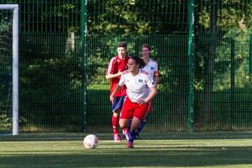Bild 258 - Frauen HSV - cJun Eintracht Norderstedt : Ergebnis: 1:16